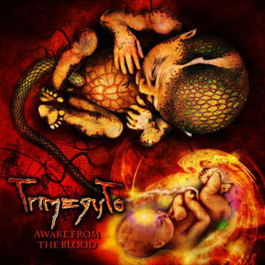 Torture Krypt - Rotted Remnants Torture Krypt - Rotted Remnants