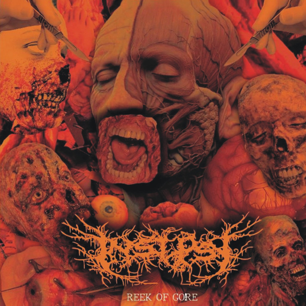 INSEPSY - REEK OF GORE CD