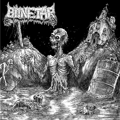 BONETAR - DEMO