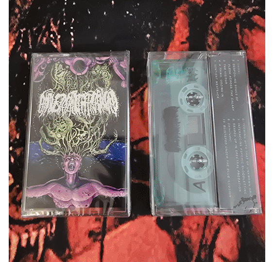 UNIVERSALLY ESTRANGED - REARED UP IN SPECTRAL PREDATION CASSETTE