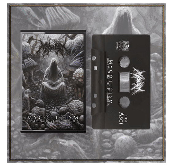 MYCELIUM - MYCOTICISM DISSEMINATING THE PROPAGULES CASSETTE